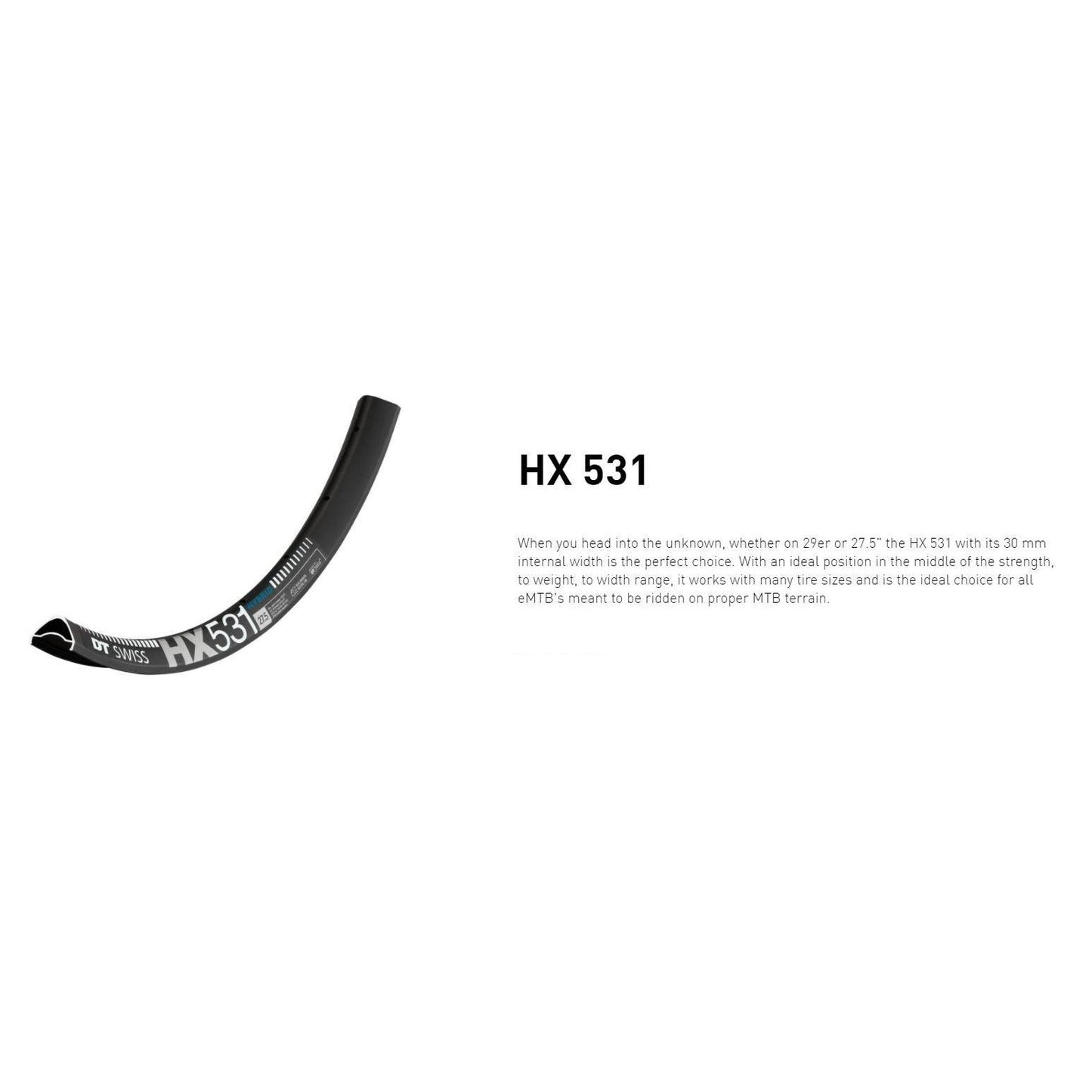 Dt Swiss RIM HX531 29 30 wide 32h