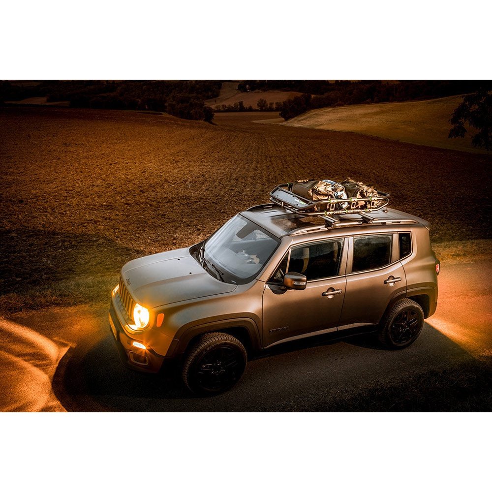 BUZZRACK Atomic Buzz Cargo Carrier for Roof Racks