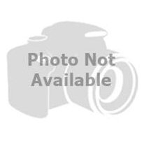 Bicycle Cargo Trailer Cover 9812 - Yellow/Black