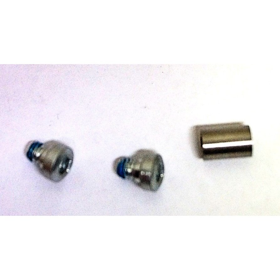 Formula R1/Ti Pivot Bolt Kit - Silver