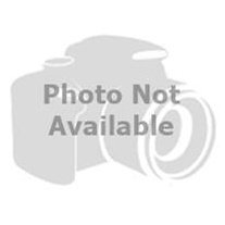 ProSeries 9800 Bicycle Trailer/Jogger Red Cover - Replacement