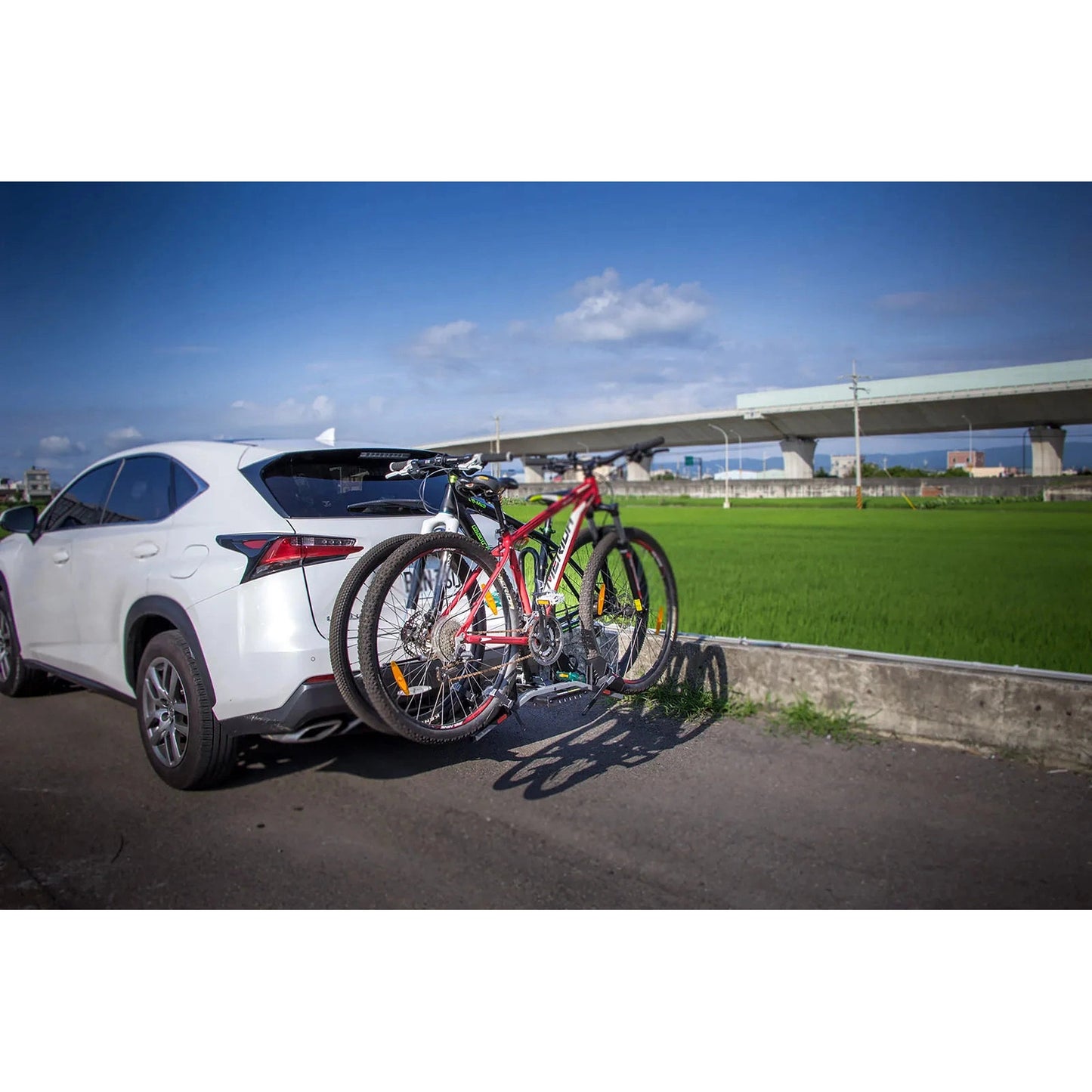 BUZZRACK Buzzybee H2 Hitch Bike Rack - 2 Bike Platform Carrier