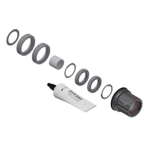 Dt Swiss upgrade Kit 3-Pawl to Ratchet LN Microspline steel