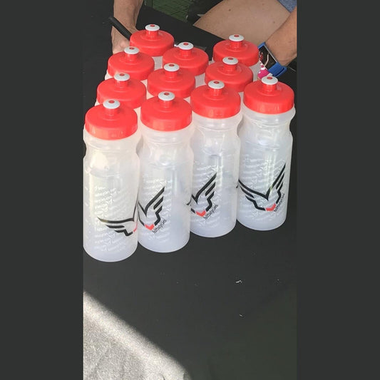 Felt Bottle 24oz Striped Clear/Red