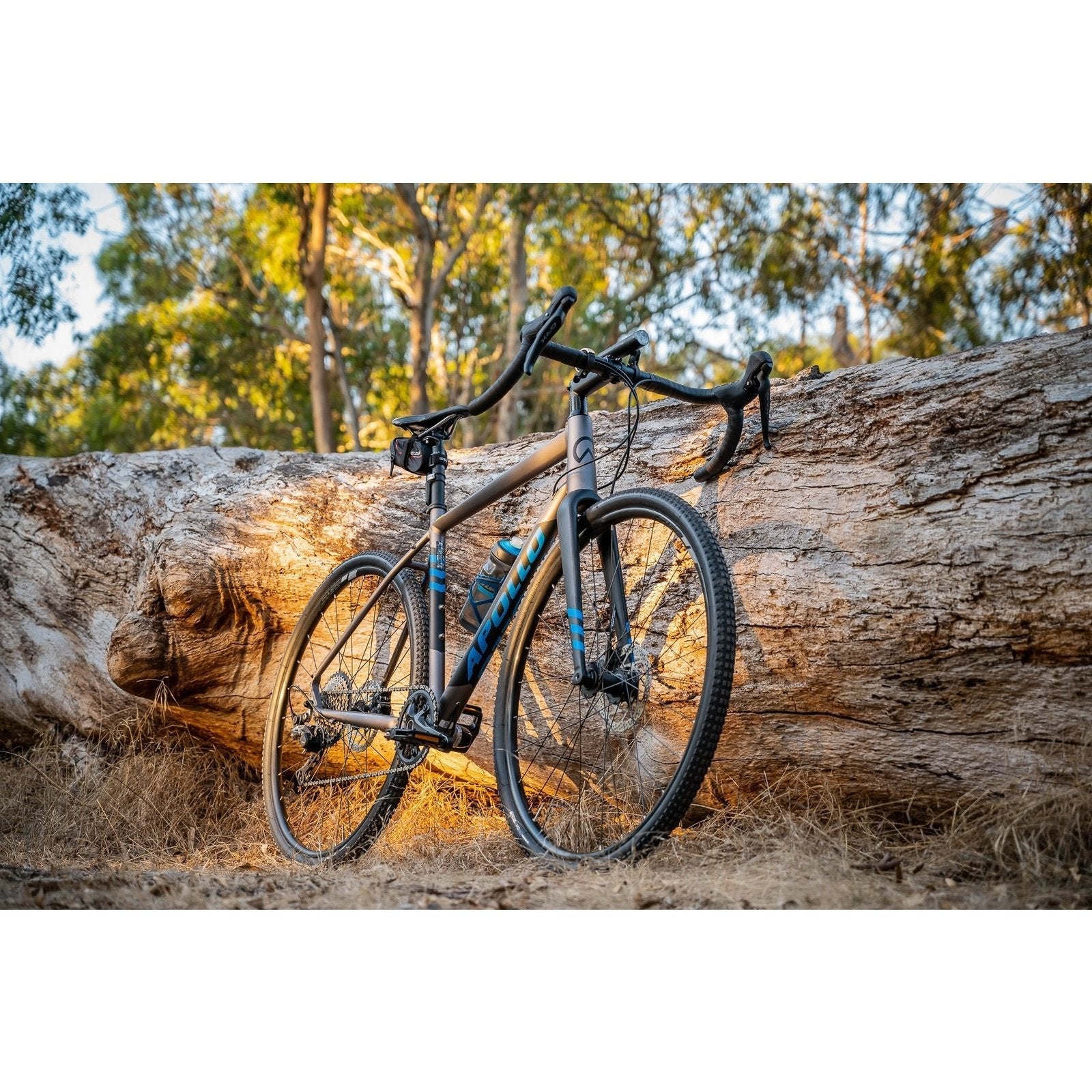 Apollo Scout 21X Matte Charcoal/Black/Blue