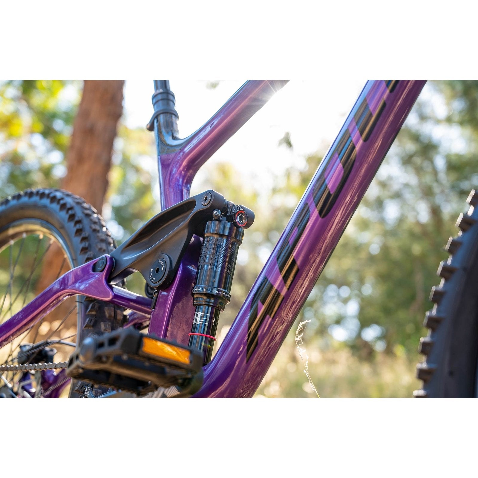 Apollo Trail D 20 Gloss Purple / Black