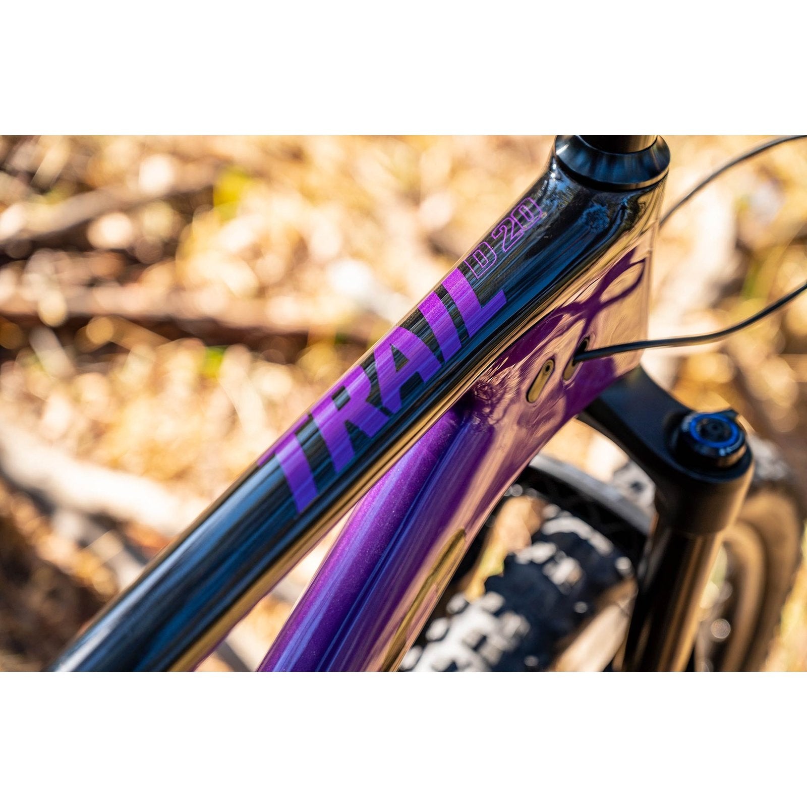 Apollo Trail D 20 Gloss Purple / Black