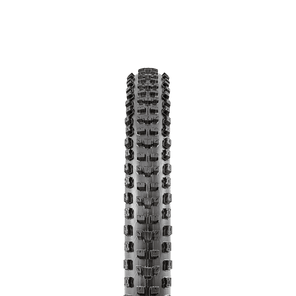 Maxxis DISSECTOR 27.5 X 2.40 Folding EXO 3C MaxxTerra TR
